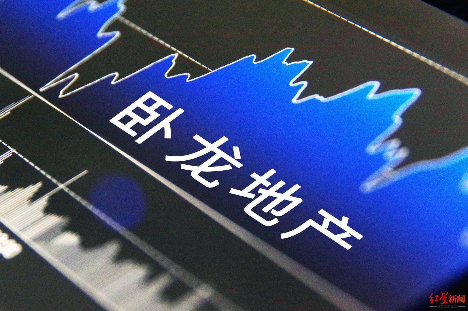 卧龙控股集团有限公司，多元化房地产领域的卓越追求与优质服务