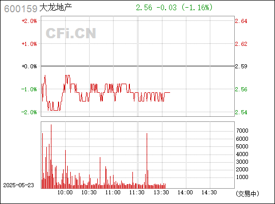 关于大龙地产，存在两种可能的信息。