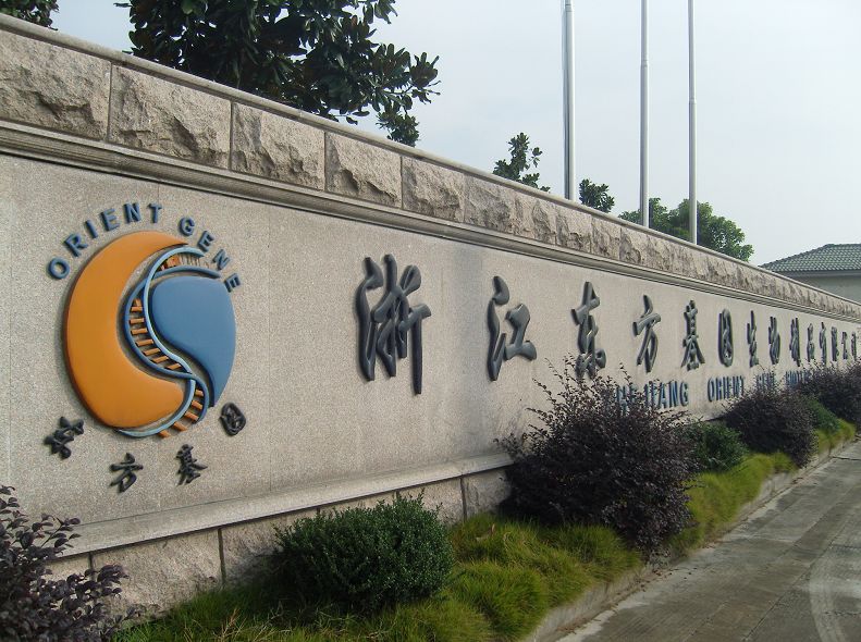 浙江东方是浙江省的一家综合性企业，主要涉及金融服务和资产管理等领域。该公司拥有多元化的业务模式和良好的市场表现，是浙江省内具有较强实力和影响力的企业之一。