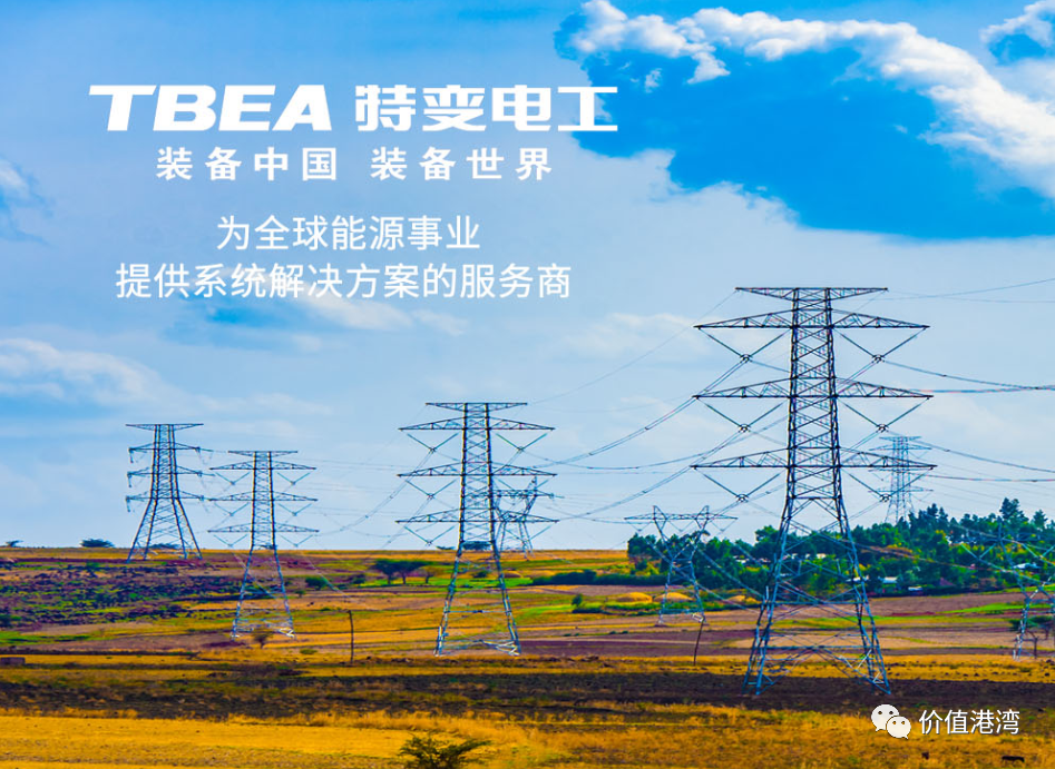 特变电工股份有限公司是中国变压器行业的龙头企业，主要从事输变电业务，包括变压器、电线电缆、配电自动化产品的研发、生产和销售。以下是关于特变电工的一些详细信息