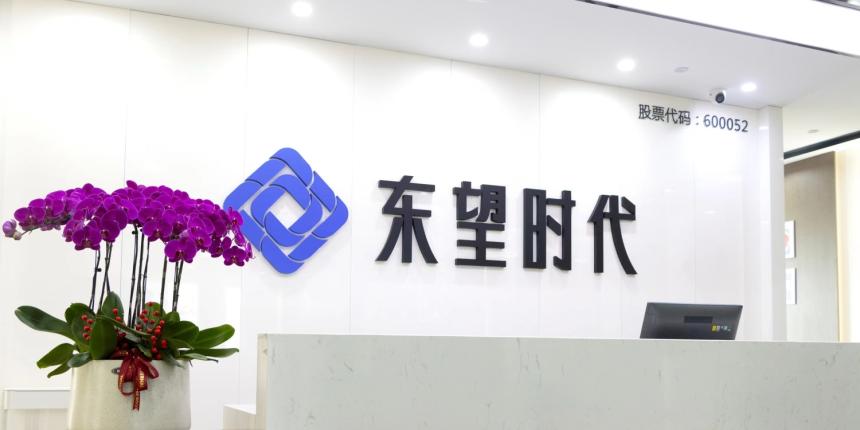 东望时代是一个涉及多个领域的综合性企业集团，主要涉及地产开发、金融、商业运营、高科技产业以及文化旅游产业等领域。该企业集团在全国范围内开展业务，并以其独特的商业模式和战略规划，取得了一定的成绩和市场份额。