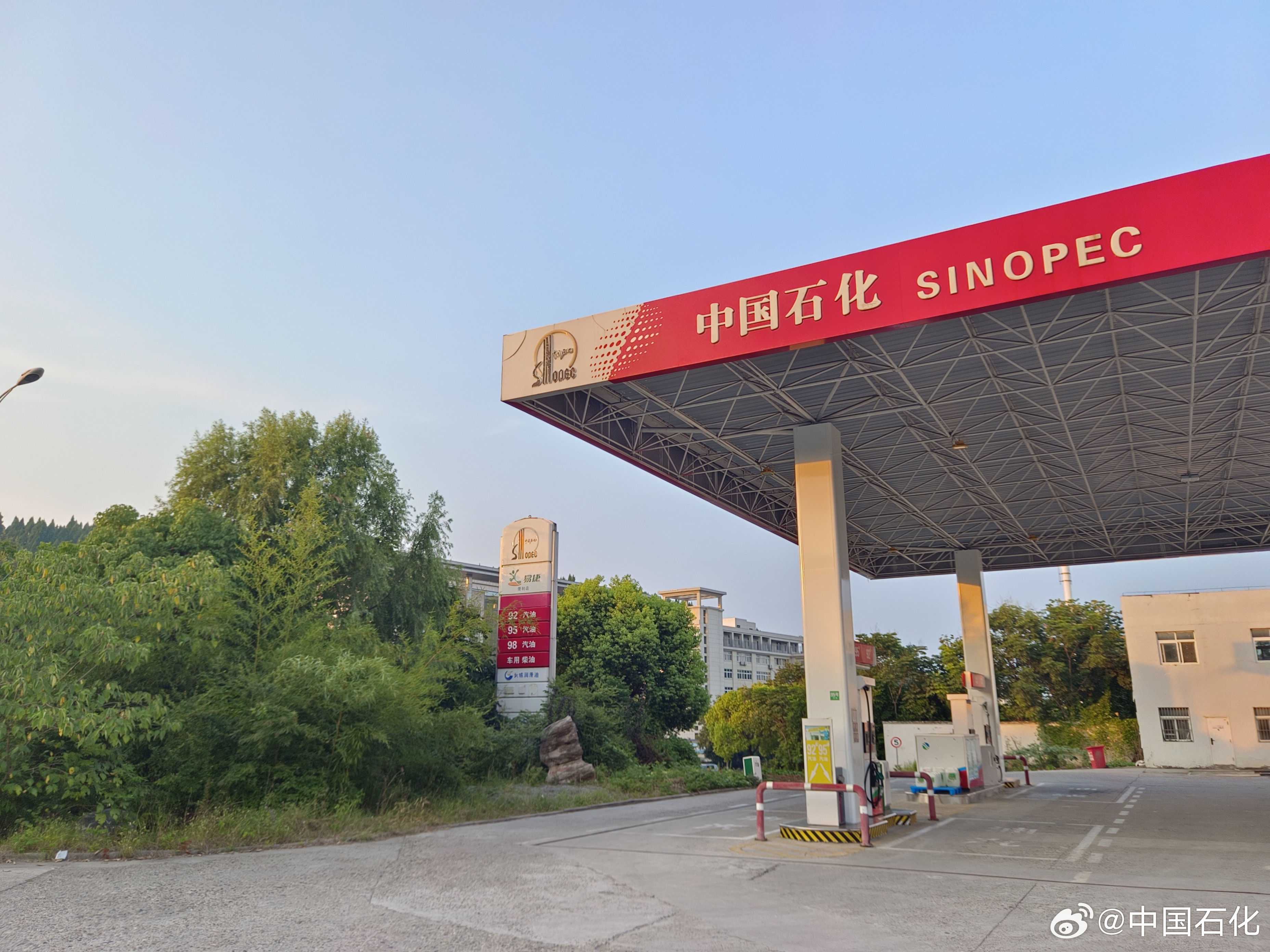 中国石化是一家在炼油和石油化工领域处于领先地位的大型企业。它在中国拥有完整的石油和天然气产业链，涵盖了勘探、开发、生产、储运、销售和综合服务等方面。以下是关于中国石化的一些详细信息