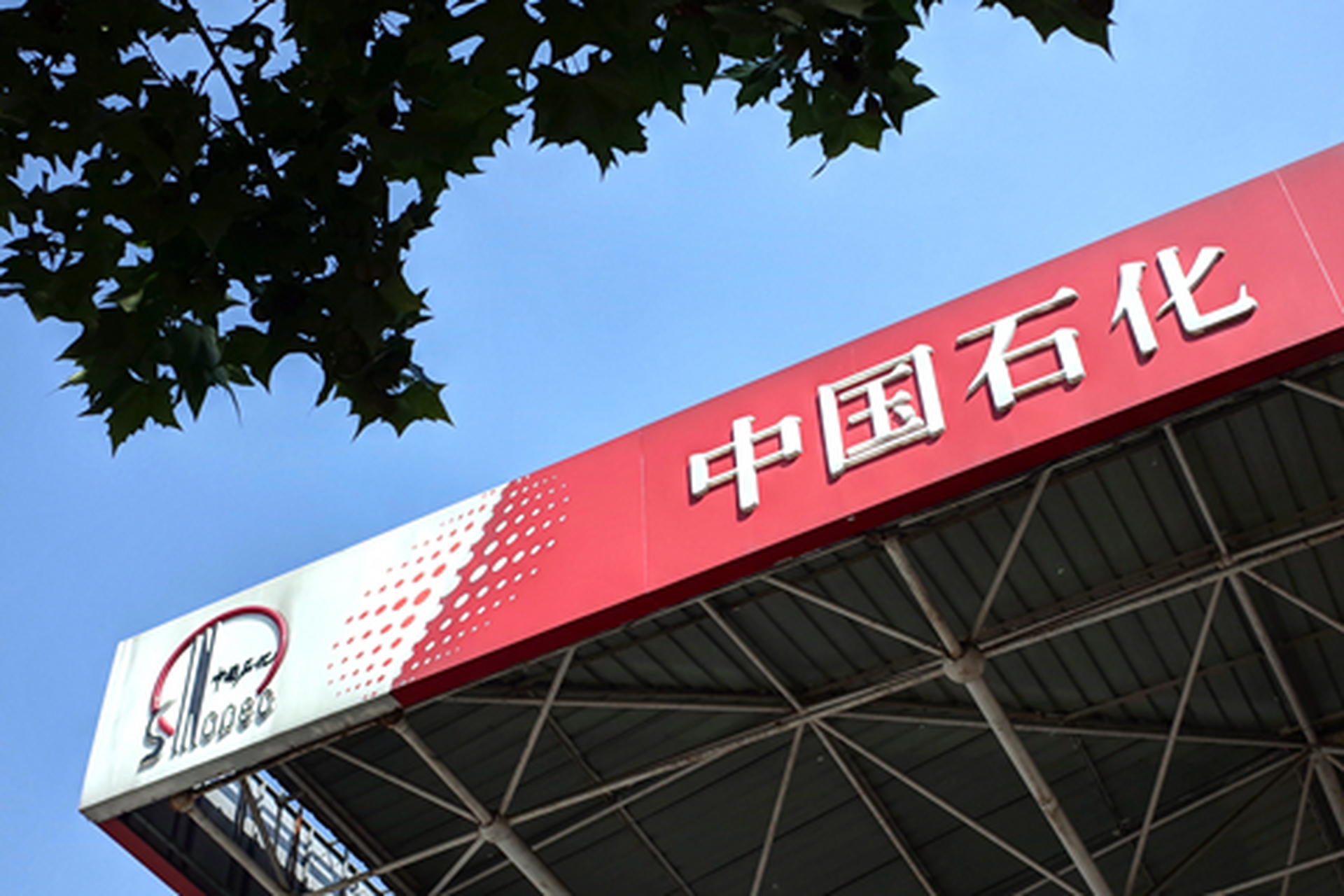 中国石化是一家在炼油和石油化工领域处于领先地位的大型企业。它在中国拥有完整的石油和天然气产业链，涵盖了勘探、开发、生产、储运、销售和综合服务等方面。以下是关于中国石化的一些详细信息