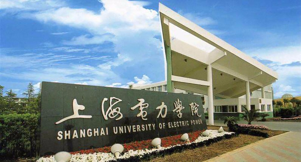 上海电力是指上海市的电力供应和相关产业。作为一个国际化大都市，上海对电力的需求非常巨大，因此拥有一个完善的电力体系和多家电力公司来满足市民和企业的需求。
