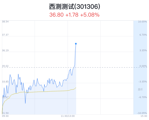 西测测试术语解析及背景介绍