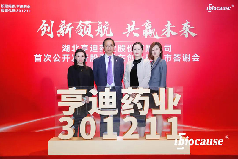 亨迪药业是一家主要从事原料药和制剂研发、生产及销售的公司，其核心产品包括抗病毒原料药等。该公司自成立以来一直致力于药品研发和生产，拥有先进的生产设备和研发技术，并建立了完善的质量管理体系。此外，亨迪药业还注重市场营销和品牌建设，致力于提高产品的知名度和市场占有率。