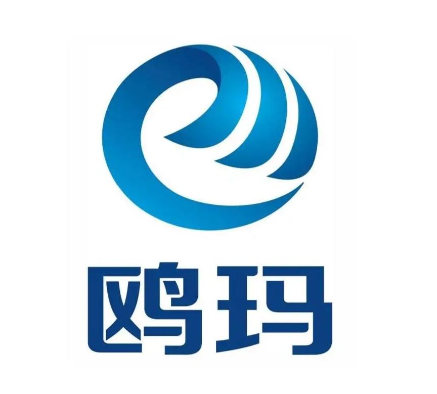 鸥玛软件是一家专注于考试与测评领域的软件开发企业，致力于提供考试信息化解决方案及相关服务。以下是鸥玛软件的一些主要业务和产品
