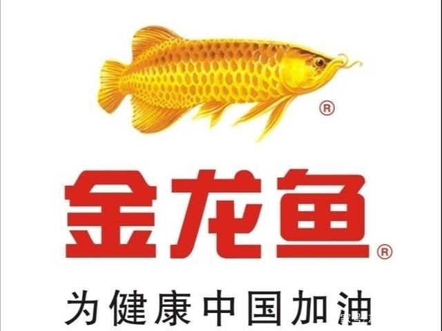 金龙鱼品种介绍，观赏价值极高的大型鱼种特点解析