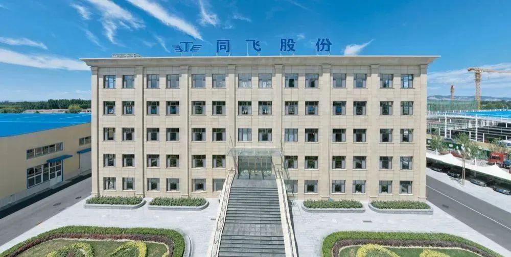 关于同飞股份，它在不同领域有不同的含义。