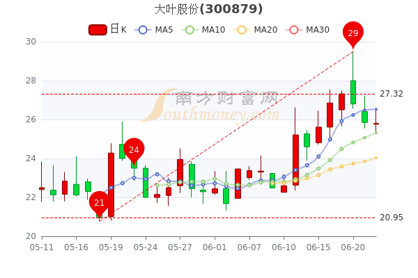 大叶股份是一家主要从事智能环保电力设备的研发、生产和销售的公司，其主要产品包括智能环保配电柜、智能电力监控系统等。此外，大叶股份还致力于新能源领域的开发与应用，如新能源汽车充电桩的研发和生产。该公司秉承品质铸就未来的理念，注重产品质量和科技创新，致力于为客户提供高效、可靠、智能的电力解决方案。
