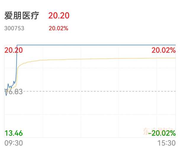 爱朋医疗是一家专注于疼痛管理和体温监测领域的医疗设备与服务提供商。其主要产品包括镇痛设备、电子测温设备以及相关的医用耗材和医疗器械。爱朋医疗的产品广泛应用于医院、诊所和其他医疗机构，帮助患者缓解疼痛、提高生活质量。