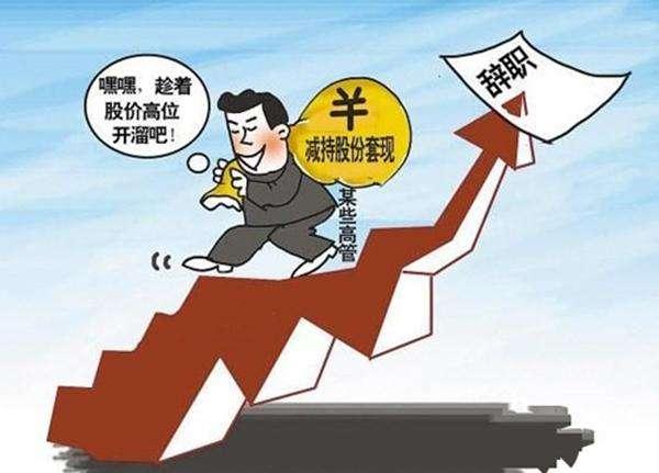 九典制药是一家主要从事药品研发、生产和销售的公司，其产品和服务涵盖了药品的多个领域，包括抗感染药物、抗肿瘤药物、心血管药物等。该公司致力于不断研发新的药品和治疗方案，以满足患者的需求。九典制药注重药品的质量和安全性，遵循严格的制药标准和质量控制流程，以确保其产品的质量和安全性。此外，九典制药还关注市场动态和客户需求，不断调整和优化其产品和服务结构，以适应市场的变化和满足客户的需求。