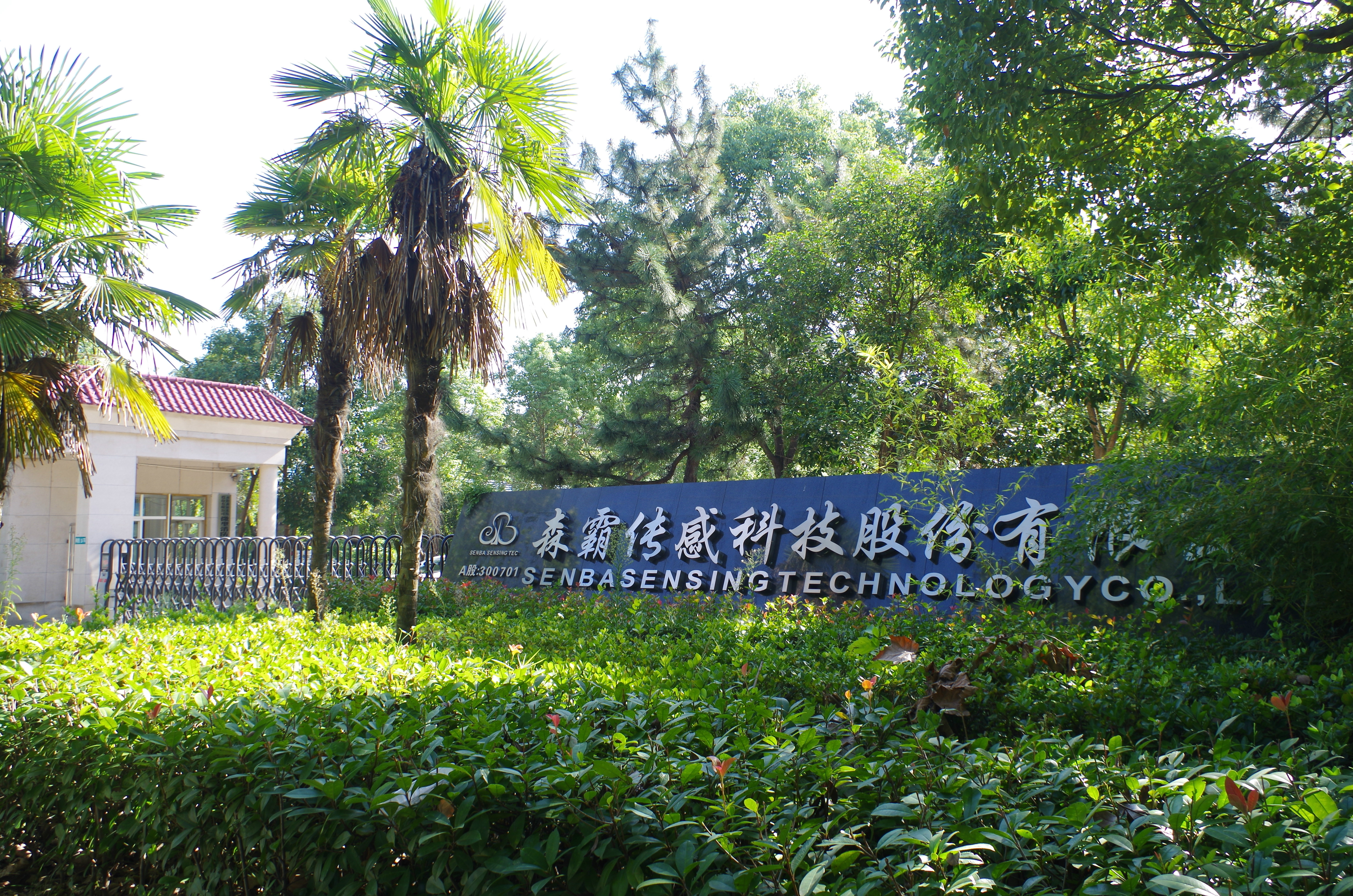 森霸传感器是一家在红外光电子领域拥有自主知识产权和自主创新能力的高新技术企业。该公司主要从事红外光电传感器产品的研发、生产和销售，产品包括红外测温传感器、红外光电传感器等。这些传感器广泛应用于物联网智能家居和工业测控领域。此外，该公司还致力于物联网智能家居领域的智能控制产品的研发和生产。
