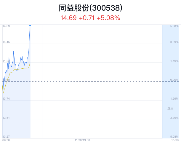 同益股份是一家主要从事化工和化纤业务的公司，致力于为客户提供全面的塑料原料解决方案。以下是关于同益股份的一些详细信息