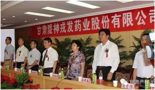 陇神戎发，甘肃省中药材全产业链发展领军者，拓展至新能源与新材料领域