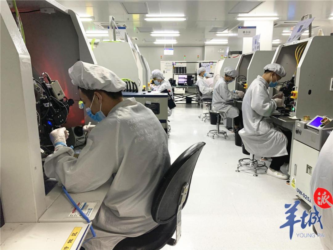 光智科技是一家专注于光通信器件的研发、生产和销售的公司。以下是关于光智科技的一些基本信息