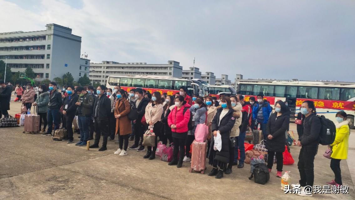 蓝思科技是一家以研发、生产和销售防护玻璃面板为主的公司，其主要产品包括视窗防护玻璃面板等。以下是关于蓝思科技的一些详细信息