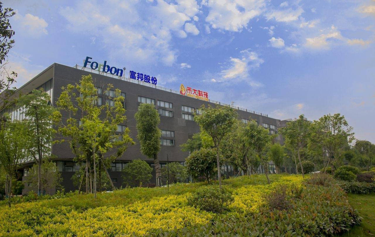 富邦科技，金融科技领域的全面解决方案提供商，涵盖金融软件开发、数据处理及云服务