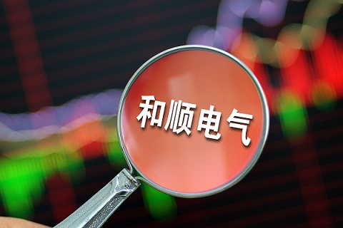 和顺电气是一家专注于电力电子技术的企业，主要提供电力电子设备的研发、生产和销售服务。以下是关于和顺电气的一些详细信息