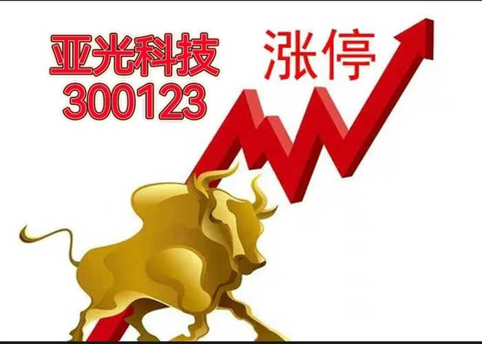 亚光科技是一家专注于军工电子和军民融合领域的企业，致力于提供先进的电子信息技术产品和解决方案。以下是关于亚光科技的一些详细信息