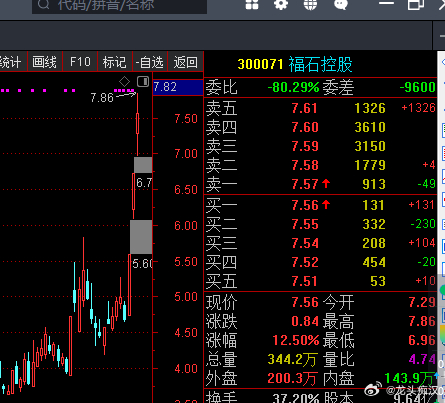 福石控股，资本市场上的多元化投资领袖