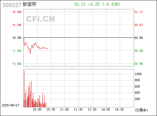 新宙邦是一家在精细化工领域表现卓越的公司，其主要产品包括锂电池化学品和有机氟化学品。该公司拥有自主知识产权和核心技术，致力于为客户提供优质的产品和服务。以下是关于新宙邦的一些详细信息
