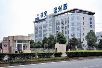 硅宝科技全称为成都硅宝新材料资源股份有限公司，该公司是一家主要从事新型高分子量、高性能密封胶产品的研发、生产和销售的公司。该公司致力于发展高端硅宝品牌，并努力成为国际一流的新材料企业。其产品广泛应用于建筑幕墙、中空玻璃、汽车制造等领域。此外，硅宝科技还专注于绿色建筑材料的研发和应用，致力于推动绿色建筑和低碳建筑的发展。