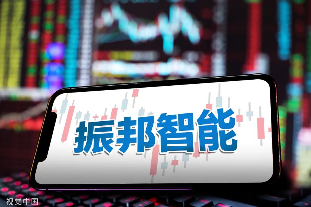 振邦智能是一家专注于智能安防领域的公司，致力于提供全方位的产品和服务，包括智能锁、智能门禁、智能监控等。以下是关于振邦智能的一些详细信息