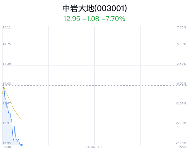 中岩大地是一家主要从事岩土工程相关业务的公司，致力于为客户提供安全、可靠、高效的岩土工程技术解决方案。该公司的业务领域包括岩土工程勘察与设计、地基与基础工程施工、地下空间开发与利用等。此外，中岩大地还涉及轨道交通、高速公路、市政工程、建筑等领域的技术服务。