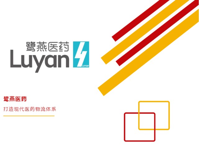 鹭燕医药，构建全方位健康产品与服务体系的医药供应链领导者