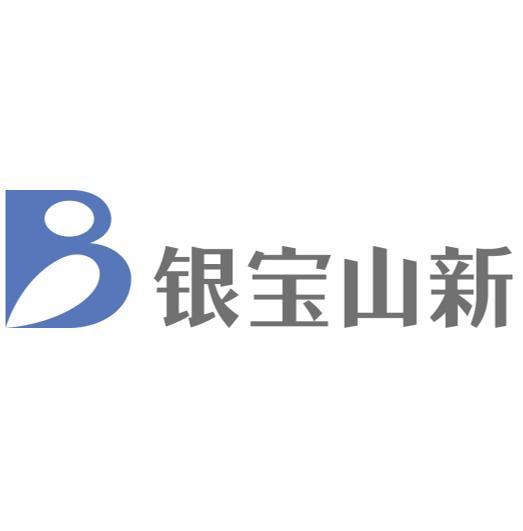 银宝山新是一家主要从事汽车车身零部件的研发、制造和销售的公司，主要产品包括汽车车身零部件和模具等。该公司致力于为客户提供高质量的产品和服务，以满足客户的需求。此外，银宝山新也积极探索新技术和新材料的应用，以提高产品的性能和降低成本。该公司注重技术创新和研发能力，拥有先进的生产设备和技术团队，致力于为客户提供更优质的产品和服务。