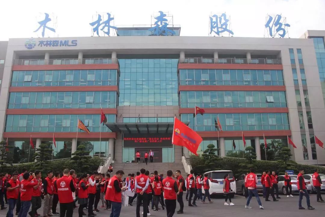 关于木林森，存在两种可能的解释。