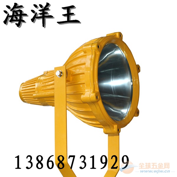 海洋王的多重语境含义探讨