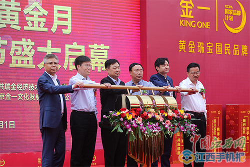 金一是一个中文名字，由于缺少更多的背景信息，我无法给出更详细的介绍。如果这是一个人的名字，你可能需要提供更多的信息，如他的职业、所在领域等，这样我才能给出更准确的回答。