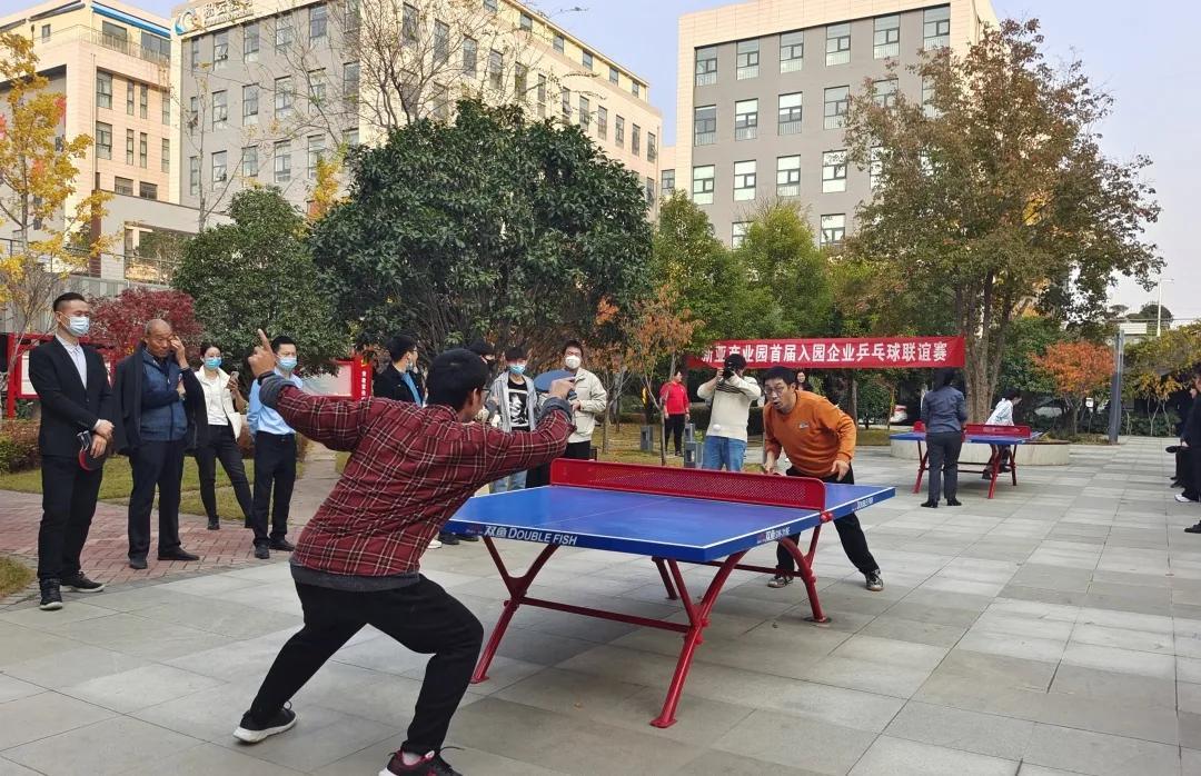 新亚词汇解析，多义词汇‘新亚’的多种含义