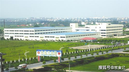 华英农业是一家主要从事鸭产业的公司，包括鸭的饲养、加工和销售等。以下是关于华英农业的一些详细信息