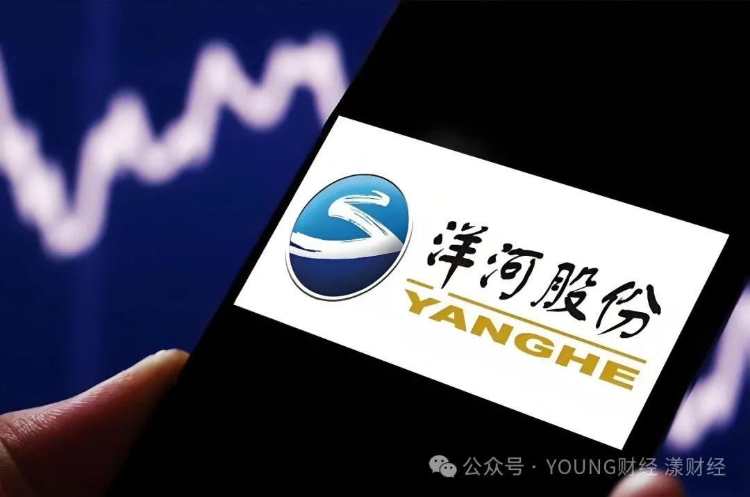洋河股份是一家上市公司，股票代码为002304。以下是关于洋河股份的详细介绍