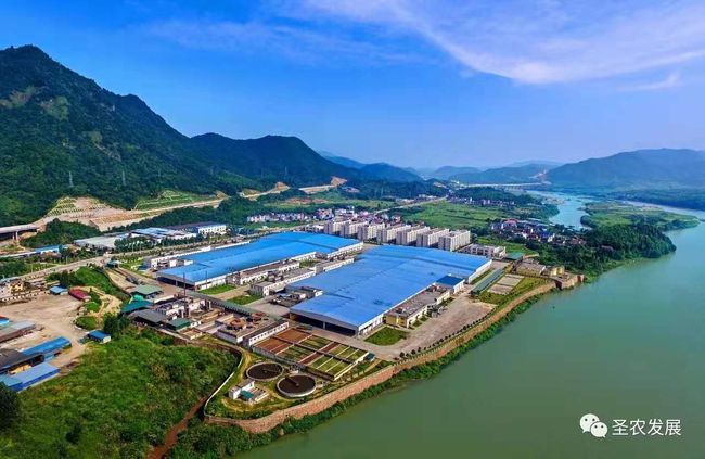圣农发展是一家集饲料加工、种鸡饲养、种蛋孵化、肉鸡饲养、屠宰加工和销售为一体的联合企业。它在肉鸡饲养和加工领域具有较强优势，是国内知名的白羽肉鸡食品加工企业。圣农发展注重全产业链的整合和优化，拥有完善的生产体系和先进的生产设备，致力于为消费者提供健康美味的鸡肉产品。