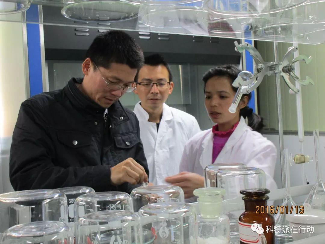 嘉应制药，特色中药研发领先者，致力于技术创新与高质量服务