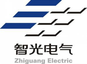 智光电气是一家专注于电力自动化保护领域的企业，其主要产品和服务包括电力自动化产品、电力监控系统等。以下是关于智光电气的详细介绍