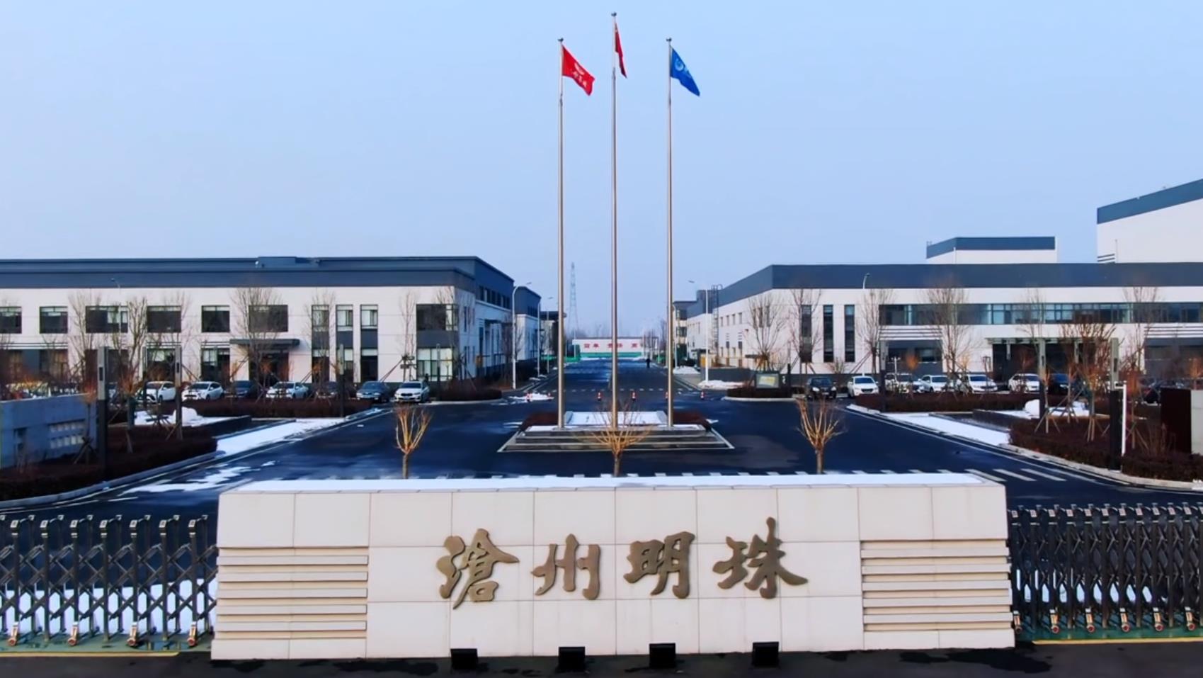 沧州明珠，探寻河北省沧州市的知名事物与人物风采