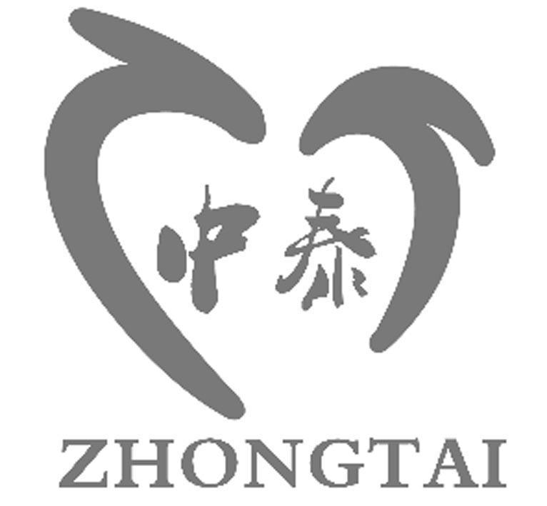 中泰友好关系的深度发展，历史联系与现代合作的新篇章