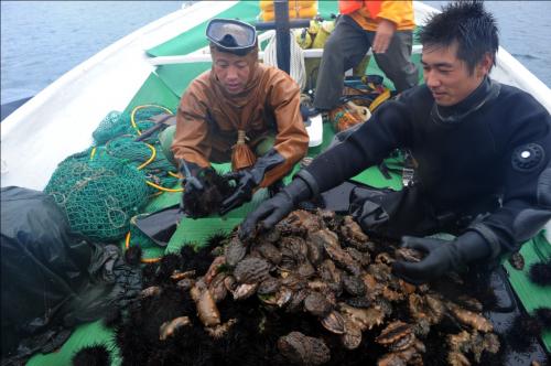 獐子岛，北纬黄金养殖海域的富饶海岛与旅游胜地