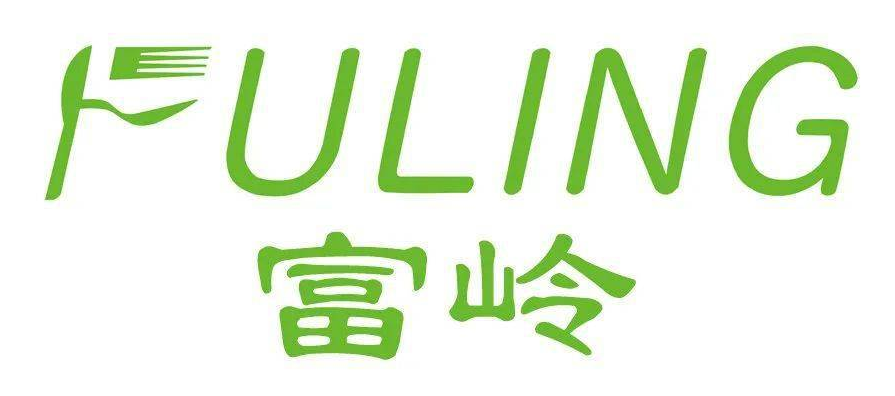 富岭控股股份有限公司，浙江省的企业巨头
