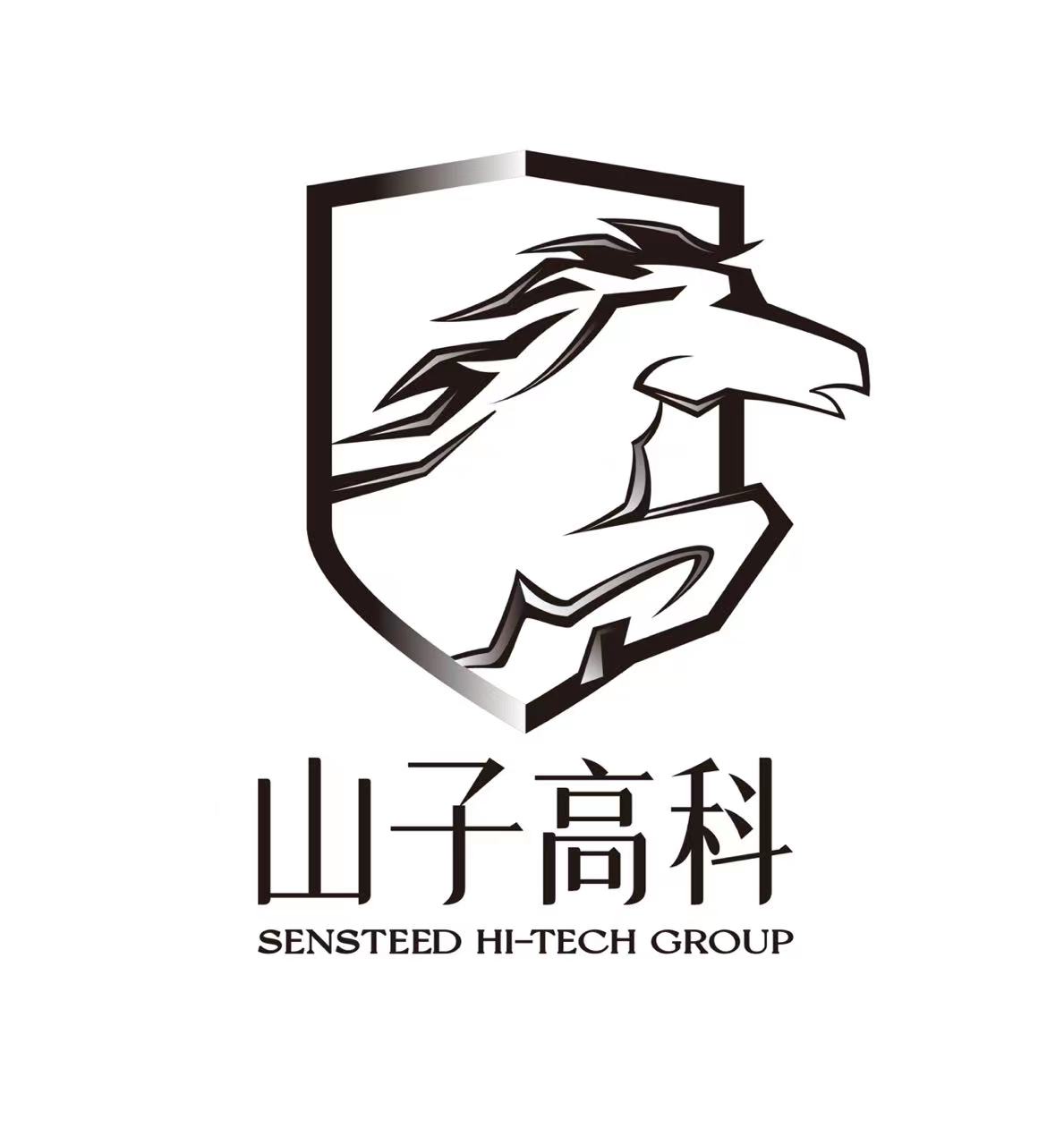 山子高科是一家专注于高分子新材料研发、生产和销售的公司，其产品包括导热绝缘材料、屏蔽材料、工程塑料等。该公司致力于提供高性能的新材料解决方案，以满足不同行业客户的需求。