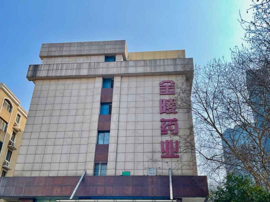 金陵药业是一家在医药领域有着广泛影响力的企业，其主营业务涉及药品的生产、研发、销售等。该公司有着悠久的历史和深厚的行业背景，以其优质的产品和服务，在医药行业中占有一定的市场份额。