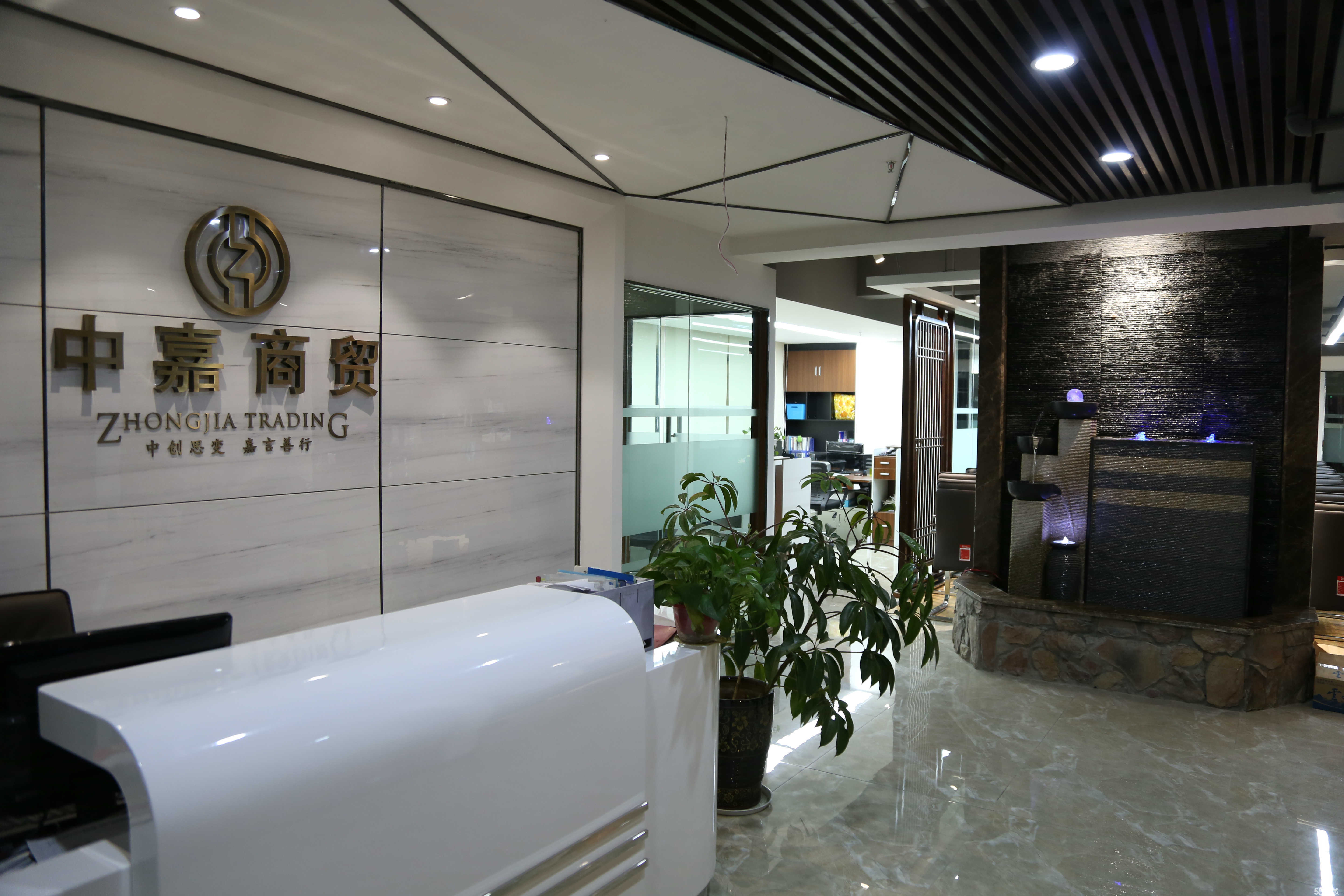 中嘉一般指中嘉汽车科技集团有限公司，成立于20世纪中期，是一家专注于汽车行业的公司。其主要业务涉及汽车技术研发、生产制造、销售及售后服务等领域。同时，中嘉也在汽车金融、汽车文化、汽车媒体等方面有所布局和发展。