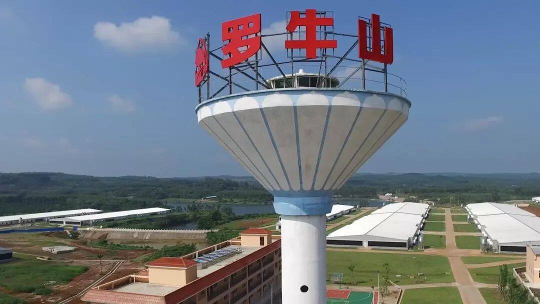 罗牛山是一家涉及多个领域的综合性企业，主要涉及畜牧业和房地产业。以下是关于罗牛山的一些详细介绍