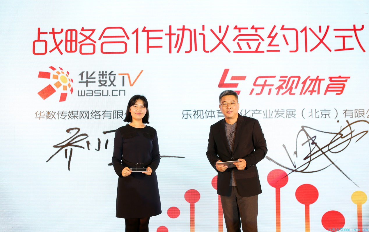 华数传媒网络有限公司四大业务领域的详细介绍