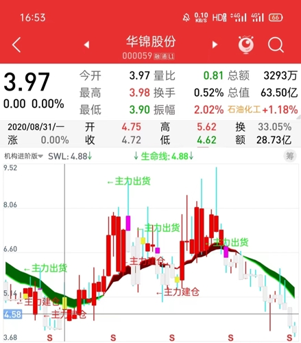 华锦股份，东北地区现代化化纤与化工生产的领军企业，深交所上市交易股票